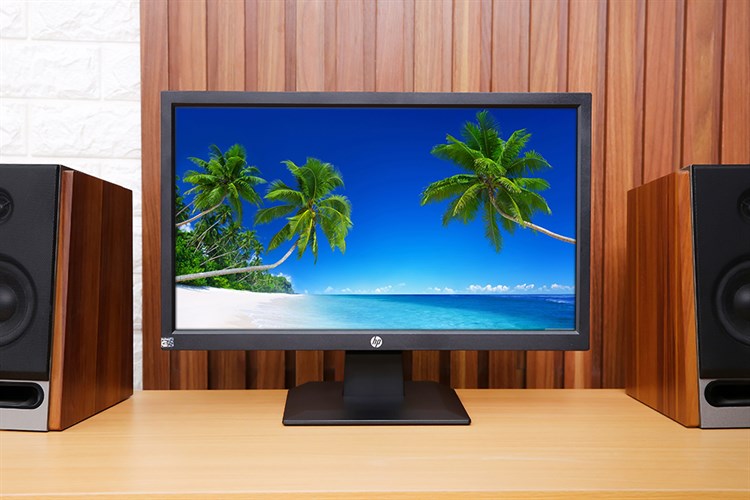 LCD HP P204 19.5 inch HD+ (5RD65AA) Màu Đen