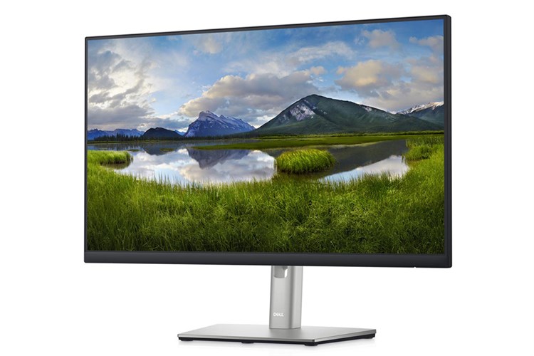 Màn hình Dell P2422H 23.8 inch FHD/IPS/60Hz/5ms/DisplayPort Màu Đen