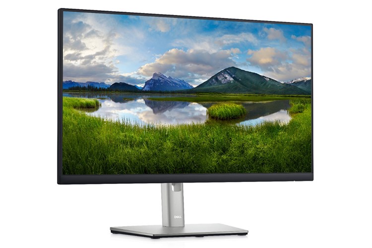 Màn hình Dell P2422H 23.8 inch FHD/IPS/60Hz/5ms/DisplayPort Màu Đen