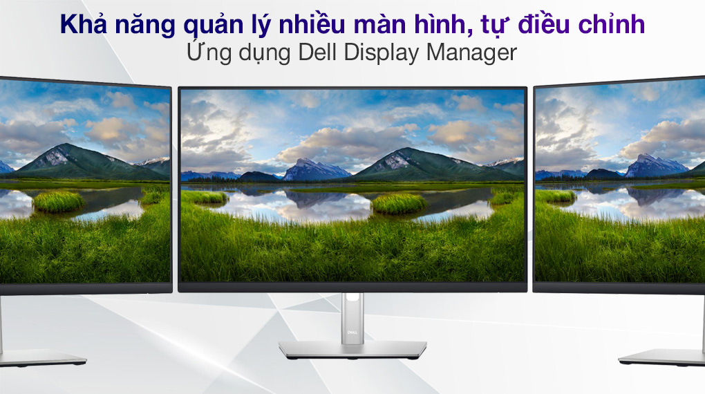 Dell LCD P2422H - Dell Display Manager