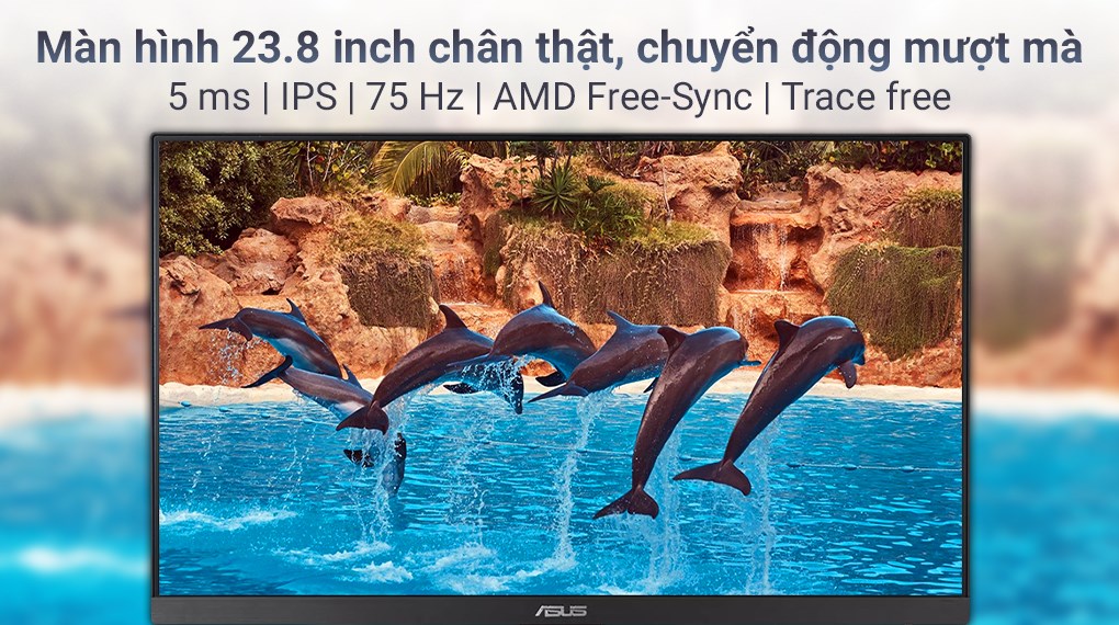 Màn hình Asus VA24ECE 23.8 inch Full HD/75Hz/5ms
