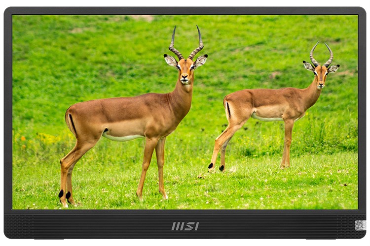 Màn hình di động MSI Pro MP161 15.6 inch FHD/IPS/60Hz/4ms/HDMI/TypeC Màu Xám