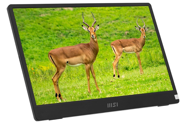 Màn hình di động MSI Pro MP161 15.6 inch FHD/IPS/60Hz/4ms/HDMI/TypeC Màu Xám