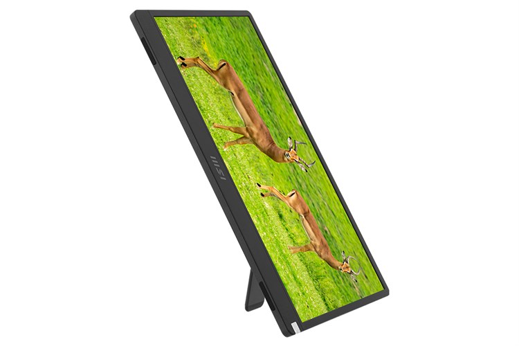 Màn hình di động MSI Pro MP161 15.6 inch FHD/IPS/60Hz/4ms/HDMI/TypeC Màu Xám