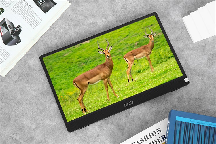 Màn hình di động MSI Pro MP161 15.6 inch FHD/IPS/60Hz/4ms/HDMI/TypeC Màu Xám
