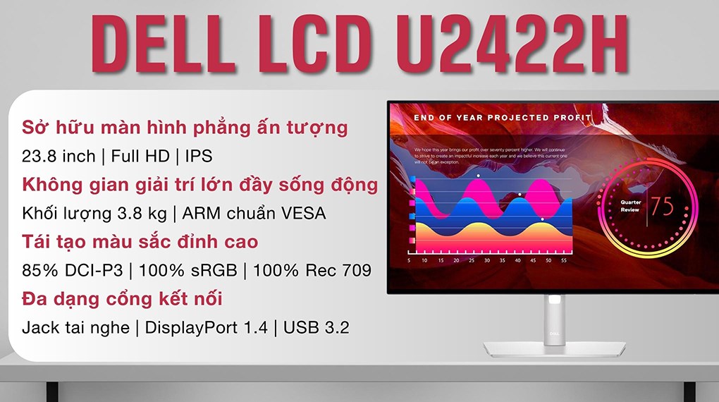 Màn hình Dell UltraSharp U2422H 23.8 inch FHD/IPS/60Hz/5ms/DisplayPort/TypeC
