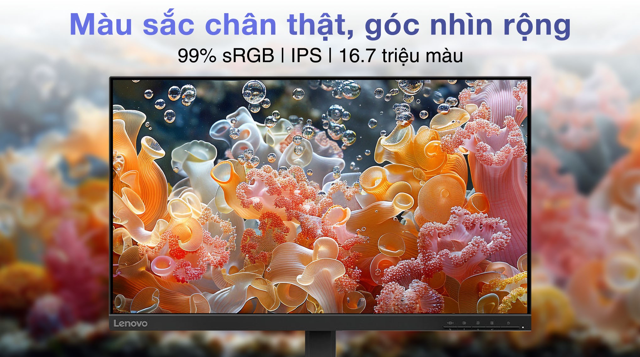 Màn hình Lenovo L24-4e 23.8 inch FHD/IPS/100Hz/4ms