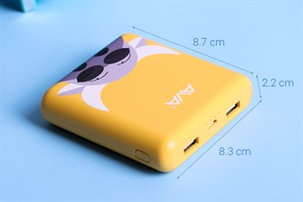 Pin sạc dự phòng 10.000 mAh AVA LA Y65 - 8