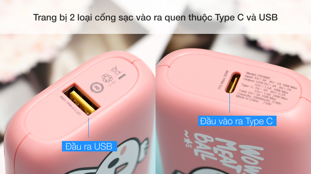 Trang bị 2 loại cổng sạc TypeC và USB vào ra thông dụng tương thích đa dạng - Pin sạc dự phòng 10000mAh Type C PD QC3.0 20W Hydrus PB299S