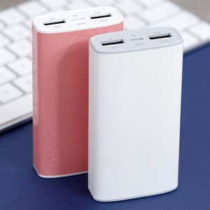 Pin sạc dự phòng 5.000 mAh eSaver Safari 2