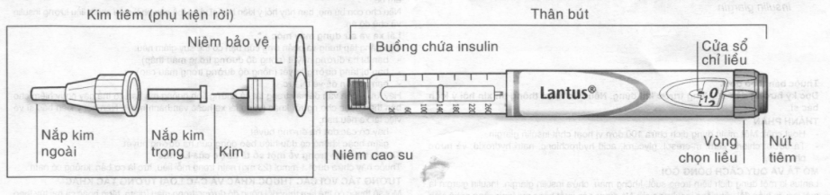 Thông tin quan trọng về việc sử dụng SoloStar