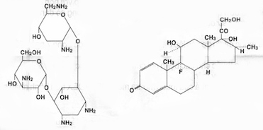 Cấu trúc hóa học của tobramycin và dexamethasone 