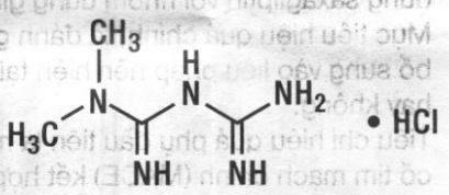 Cấu trúc hóa học Metformin