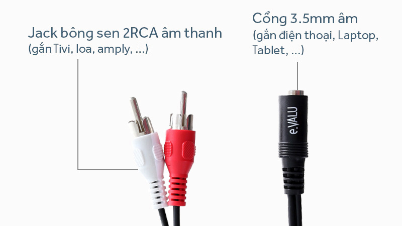 Cáp chuyển 2RCA sang 3.5mm Âm 30 cm e.VALU LRCA-01 - Chi tiết 2 đầu dây