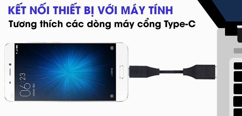 Cáp Type C 1m eValu LTC-01