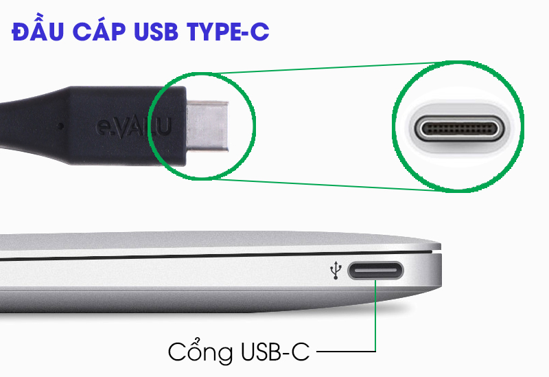 Cáp Type C 1m eValu LTC-01