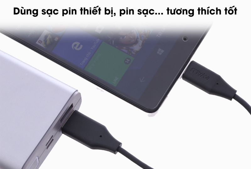 Cáp Type C 1m eValu LTC-01