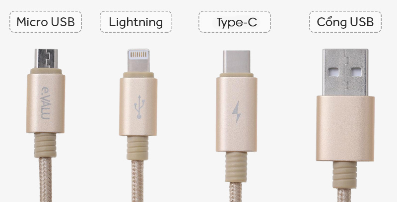 Cáp 3 đầu Lightning Type C Micro 1m eValu Spanker B - Dây cáp 3 đầu chuẩn khác nhau