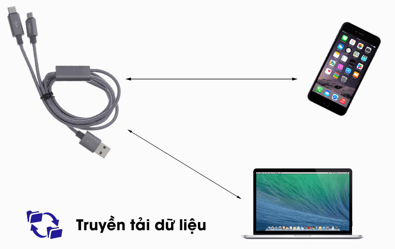 Cáp 2 đầu Type C Micro 1m eValu Spanker B