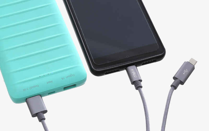 Cáp 2 đầu Type C Micro 1m eValu Spanker B