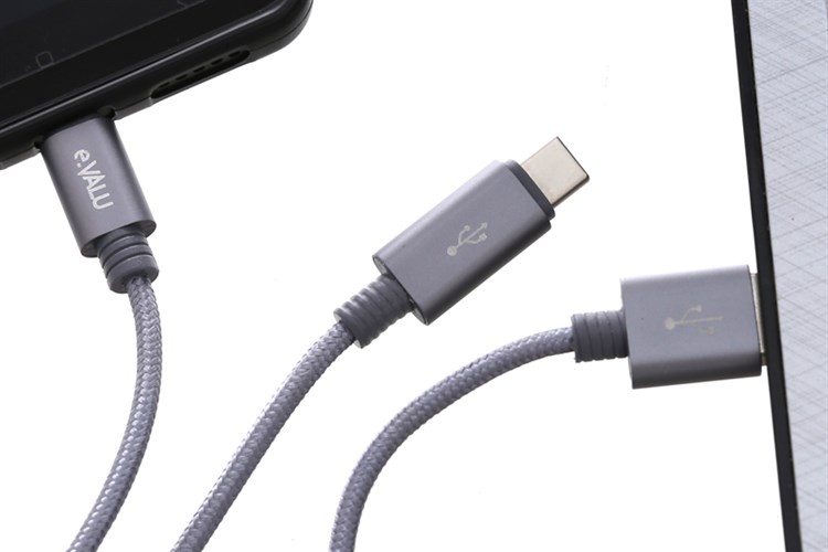 Cáp 2 đầu Type C Micro 1m eValu Spanker B Màu Xám