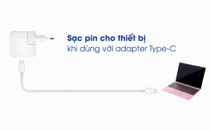 Sạc pin cho thiết bị khi dùng với adapter Type-C - Cáp Type-C - Type-C 2 m Apple MLL82 Trắng