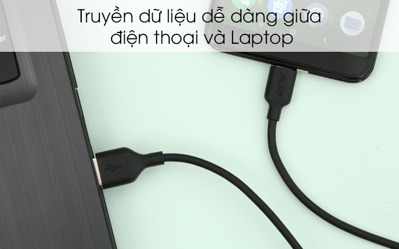 Cáp Type-C 1 m AVA DS447-WB Đen truyền tải dữ liệu giữa các thiết bị