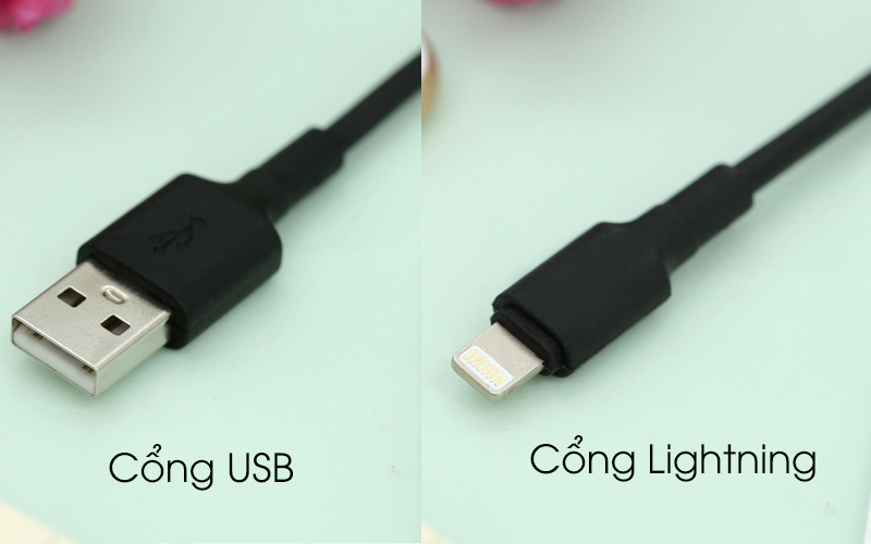 Cáp Lightning 2 m AVA LTPL-01 đen có 2 cổng USB và Lightning