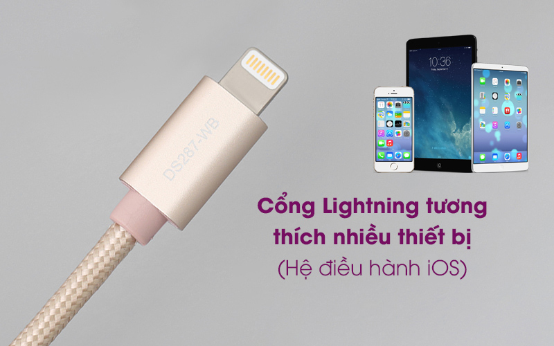Cáp Lightning MFI 2 m Mbest DS287-WB Gold có cổng kết nối lightning Cáp Lightning MFI 2 m Mbest DS287-WB Gold có cổng kết nối Lightning