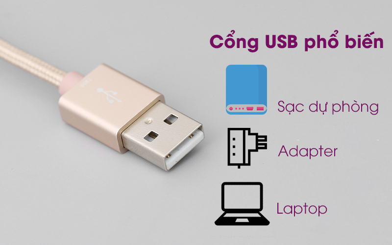 Cáp Lightning MFI 2 m Mbest DS287-WB gold có cổng USB thông dụng Cáp Lightning MFI 2 m Mbest DS287-WB Gold có cổng USB thông dụng
