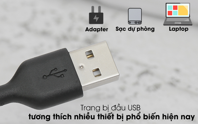 Cáp Type C 1m AVA DS447X-WB Đen - Trang bị đầu USB