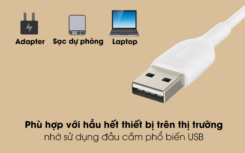 Cáp Type C 2m Belkin CAB001 - Sử dụng được với nhiều thiết bị qua đầu USB