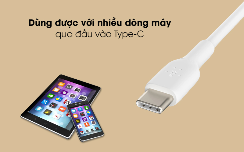 Cáp Type C 2m Belkin CAB001 - Jack cáp USB Type-C
