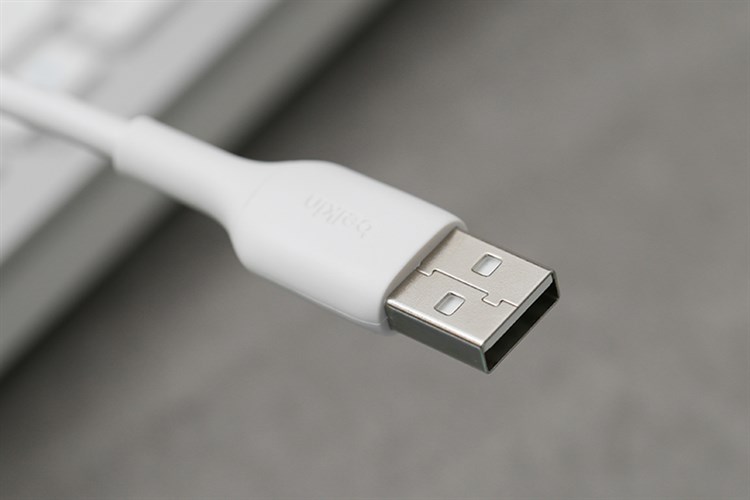 Cáp Type C 2m Belkin CAB001 Màu Trắng