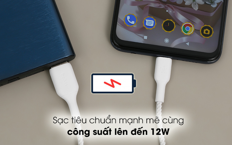 Cáp Type C 1m Belkin CAB002 - Sạc tiêu chuẩn với công suất lên tới 12W