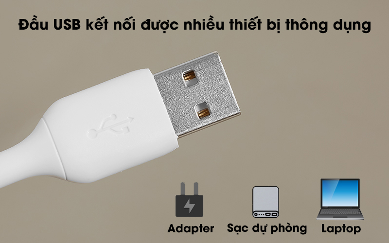 Cáp Type C 1m Belkin CAB002 - Có đầu cắm USB