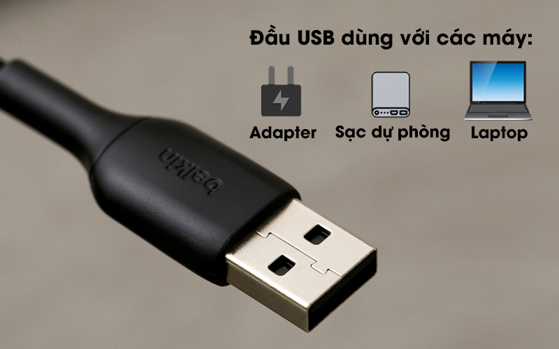 Cáp Type C 2m Belkin CAB002 - Đầu vào USB