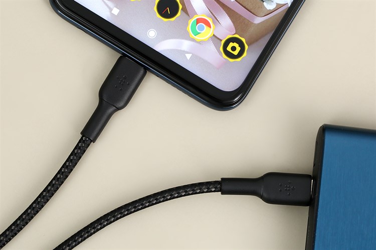 Cáp Type C - Type C 1m Belkin CAB004 Màu Đen