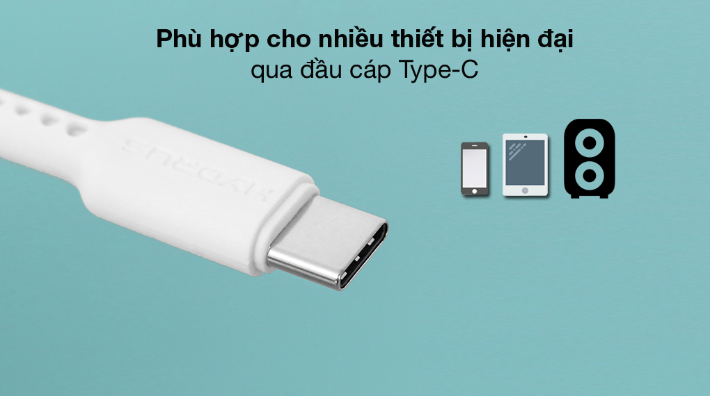 Đầu cáp Type-C - Cáp Type C 1m Hydrus DR-T01