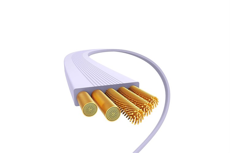 Cáp Dây Rút Type C - Type C 1m Baseus Retractable Bright Mirror CB000062 Màu Tím