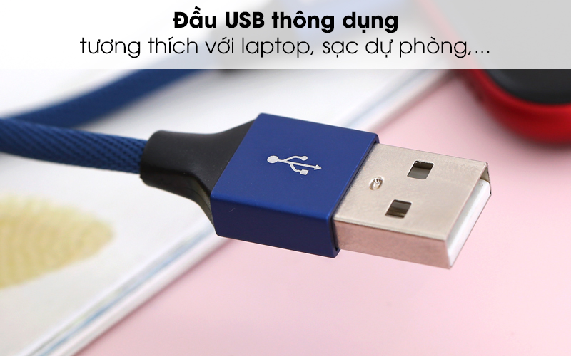 Có đầu USB thông dụng - Dây cáp Lightning 2 m e.VALU LTL-04