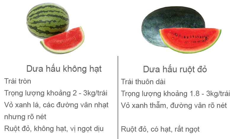 Dưa hấu không hạt