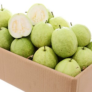 Ổi Đài Loan