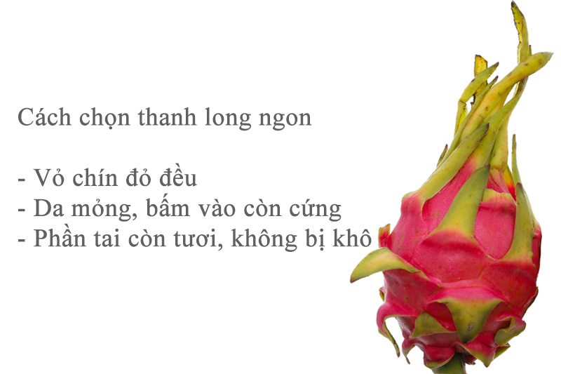 Thanh long ruột tím Hoàng Anh Gia Lai loại chín tới 1kg