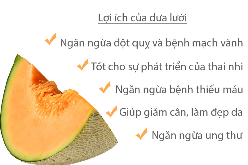 dưa giống nhật