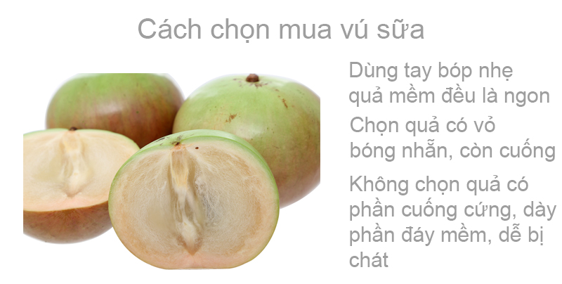 Vú sữa bơ hồng