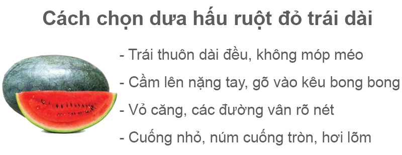 Dưa hấu ruột đỏ trái dài