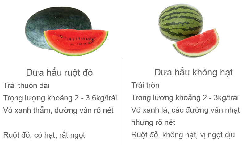 Dưa hấu ruột đỏ trái dài