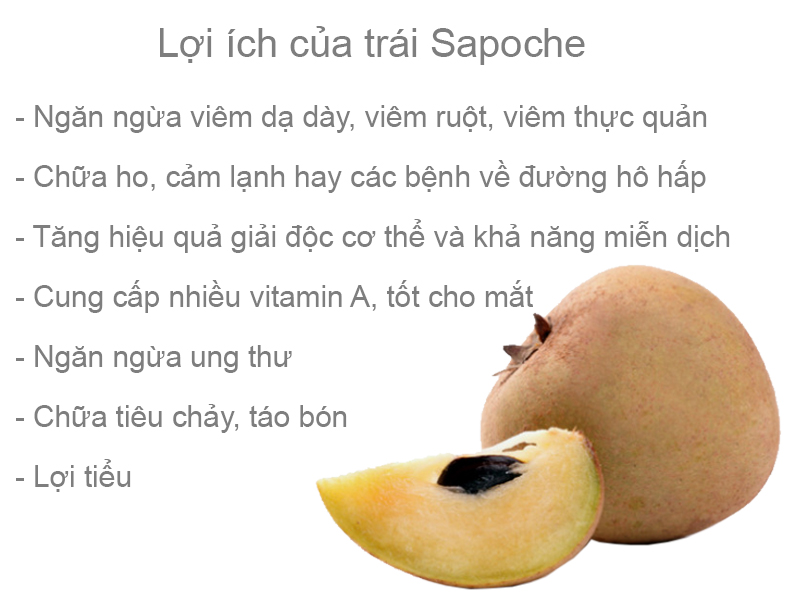 Sapoche (Khoảng 6 - 8 trái/kg)