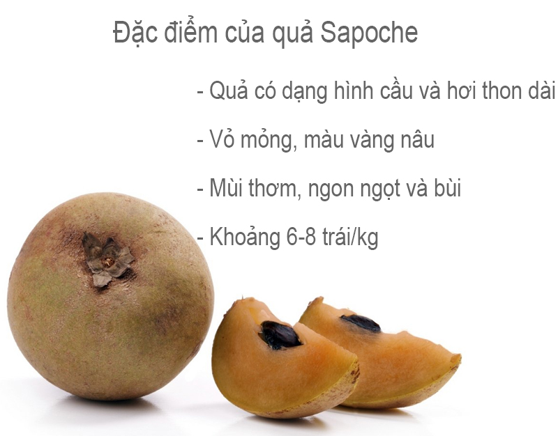 Sapoche (Khoảng 6 - 8 trái/kg)